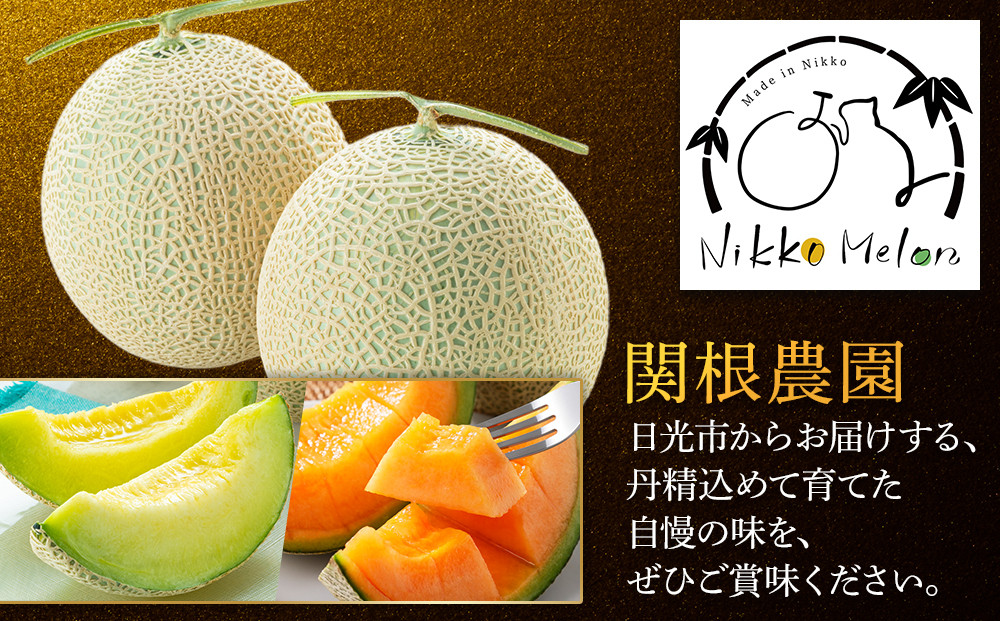 【2026年8月下旬より順次発送】関根農園の青肉メロン 1.5kg?2kg程度×1玉｜フルーツ