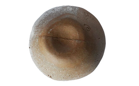 【美濃焼】 陶芸家「小林由昂」ロック杯（白樺  ベージュ土with白土） 多治見市/井澤コーポレーション 手作り 焼き締め カップ[TBP295]