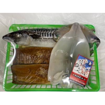 ふるさと納税 宮津市 海の京都 橋立やまいちの干物セット 贈答用 B[ 一夜干し 桜干し ギフト ] |  | 01