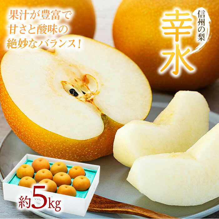 【ふるさと納税】梨 幸水 5kg 2026年秋 信州の梨 シャリっとしてみずみずしい梨 果物 くだもの フルーツ 旬の果物 旬のフルーツ 信州 長野 長野県　お届け：2026年8月下旬～9月中旬ごろ