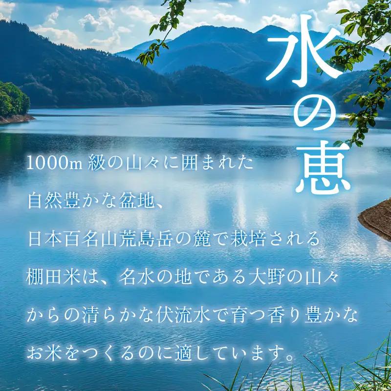 【令和8年産 新米】【3ヶ月定期便】越前大野産 一等米 帰山農園の「つきあかり」5kg 無洗米