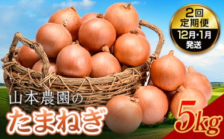 北海道産 たまねぎ 「山本農園のたまねぎ」L〜L大サイズ前後 5kg 2回定期便（12月・1月発送） 南幌町 国産 NP1-154
