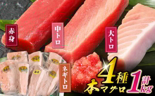 
            対馬産 本マグロ 4種 計1kg（赤身/中トロ/大トロ/ネギトロ）《対馬市》【対海】[WAH004] マグロ まぐろ 鮪 本鮪 本マグロ 養殖 トロ 中トロ 中とろ 大トロ 大とろ 赤身 ねぎとろ ネギトロ たたき 刺身 冷凍 海鮮 魚 柵 お祝い 贈答
          