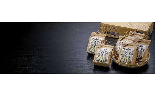 【先行予約】Premium水なすセット【新鮮 野菜 泉佐野産 茄子 やさい 高評価 数量限定】 020C066