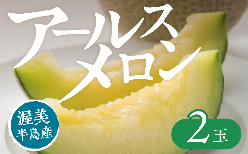 
            【先行予約】アールスメロン 2玉 入りメロン アールスメロン フルーツ 果物 愛知県 田原市 渥美半島 お取り寄せ ギフト 贈り物 プレゼント 贈答 贈答用
          