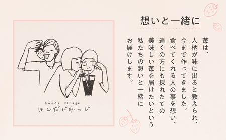 ≪先行予約≫ 苺園 ほんだびれっじの苺 4パック 計約1200g (約300g×4) 激甘 イチゴ いちご 1.2kg