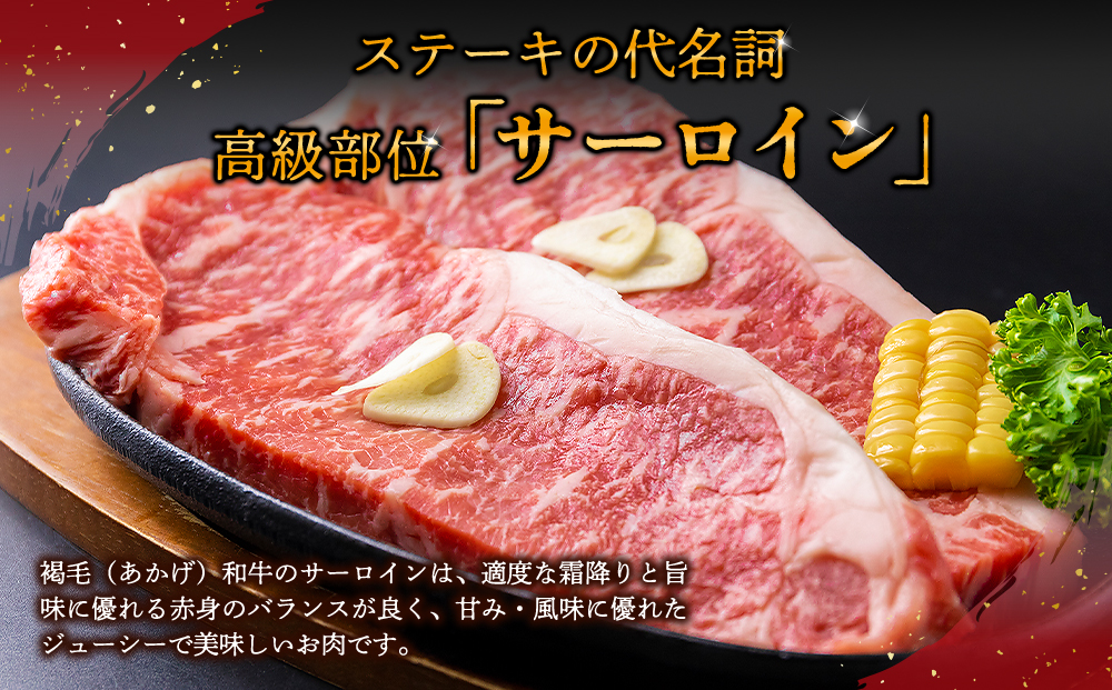 【ANA限定】あか牛 ステーキ 3種 堪能セット（シャトーブリアン ヒレステーキ サーロイン） ANAオリジナル ANA限定 ブランド 牛肉 精肉 希少部位 冷凍 国産 人気 豪華 贅沢 食べ比べ 詰