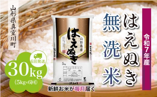 ＜令和7年産米＞ はえぬき 【無洗米】 定期便 30kg （5kg×1ヶ月間隔で6回お届け）＜配送時期指定可＞　山形県真室川町
