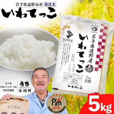 ふるさと納税 遠野市 【令和7年産】いわてっこ(無洗米) (精米)岩手県遠野市産 5kg 河判