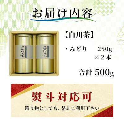 ふるさと納税 東白川村 栽培期間中 農薬不使用! 煎茶 ギフト NO.4 (みどり 250g×2本) 常磐園 日本茶 |  | 03