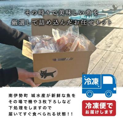 ふるさと納税 南伊勢町 【2ヵ月毎定期便】訳あり 伊勢志摩産 海鮮 お宝ボックス 約1.2kg 特産の刺身、干物など全3回 |  | 03