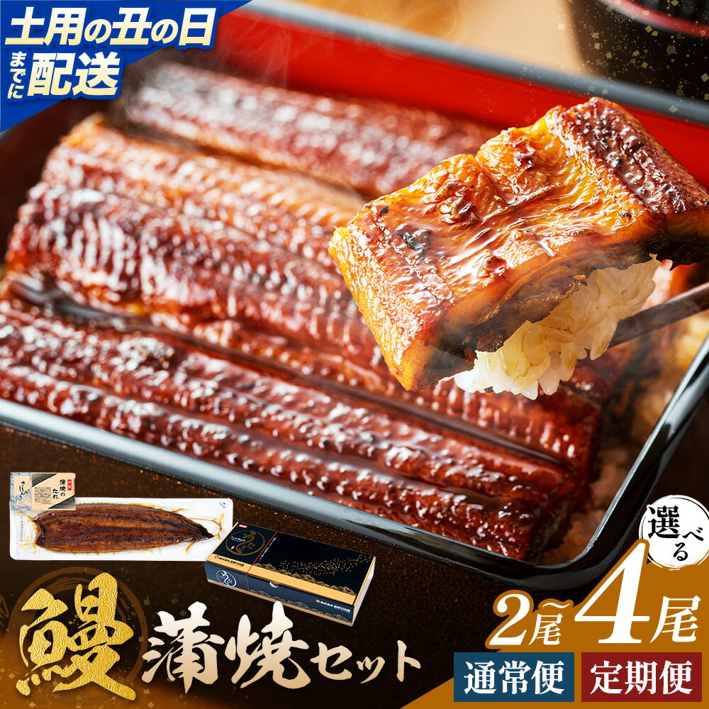 【ふるさと納税】鰻 うなぎ 蒲焼き 選べる内容量 2尾 3尾 4尾 (1尾約140g) 隔月3回定期便 隔月6回定期便 タレ 山椒 付き 株式会社薩摩川内鰻《出荷時期をお選びください》鹿児島県 さつま町 送料無料 ウナギ 蒲焼 かば焼き 丑の日 うなぎ お取り寄せ グルメ