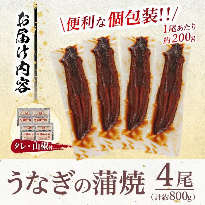 ＜訳あり・簡易包装＞ うなぎ 蒲焼 ＜4尾 計800g＞ (1尾 約200g)  ＜離島配送不可＞【ksg1889】【大黒物産】