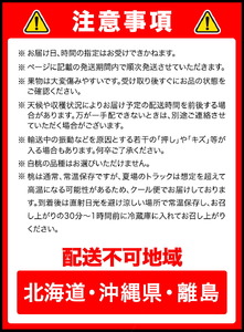 フルーツ 定期便 桃 シャインマスカット 先行予約 岡山の厳選フルーツ 定期便2回コース 岡山の白桃 6玉(1.6kg以上) シャインマスカット 晴王 2房(1房600g以上) 化粧箱入り ギフト 贈