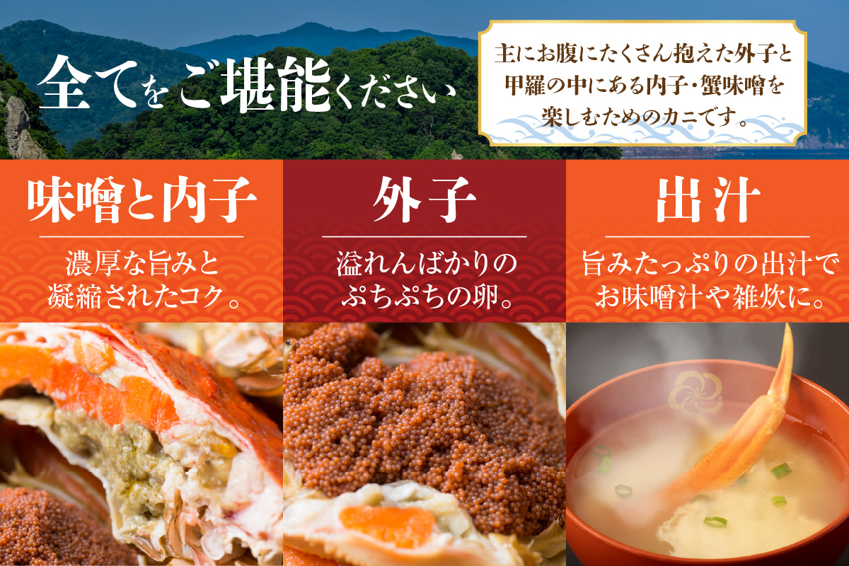 【先行予約】柴山産 茹でセコガニ 大3匹 1匹約200g 冷蔵【令和8年11月中旬以降発送予定】 かに 香美町 37-02