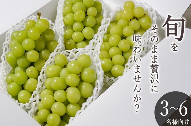 【ふるさと納税】 シャインマスカット 2026年発送 先行予約 2.2kg 4～5房 冷蔵 果物 フルーツ 果実 くだもの 9月 10月 発送 葡萄 ぶどう ブドウ マスカット 産地直送 数量限定 期間限定 クール 自然農法 贈答 ギフト 山梨県 甲州市 社員マスカット （BNC） 【D-176】