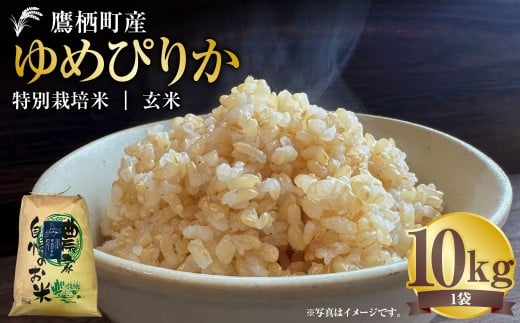 【令和7年産】 ゆめぴりか （玄米） 10kg 北海道 鷹栖町 たかすタロファーム 米 コメ こめ ご飯 お米