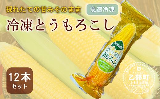 
                  甘さにビックリ！鮮度そのまま【ささや農園産 極★凍結とうもろこし：12本】＜ 北海道 道産 国産 乙部町 とうもろこし とうきび コーン 冷凍 急速冷凍 鮮度そのまま 甘さ 糖度 個包装 ゴールドラッシュ 恵味ゴールド ＞
                