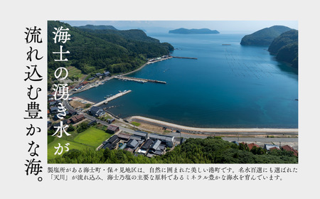 【島の恵みを食卓へ】海士乃塩100g×5個セット 塩 調味料 天日塩 料理 手作り