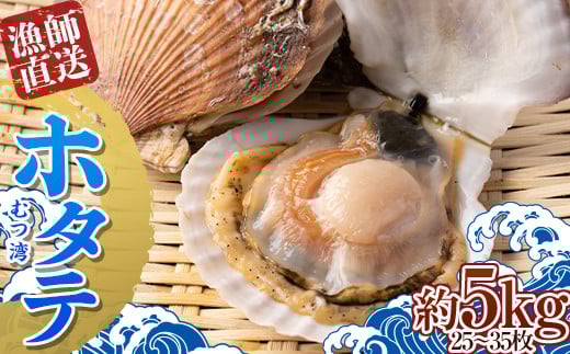 漁師直送 青森県 むつ湾 ホタテ(2年貝) 約5kg (25～35枚) 【龍運丸 水産】 ほたて 帆立 活ほたて 貝柱 殻付き 魚介 青森 東北 陸奥湾 F21J-182