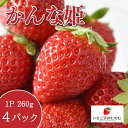 【ふるさと納税】いちご かんな姫 4p いちご家のむのむ イチゴ 苺 4パック 国産 果物 フルーツ くだもの 1月 2月 3月 発送 冬 旬 産地直送 農家直送 産直 甘い デザート スイーツ 家庭用 贈答 贈答用 茨城 茨城県 石岡市 (A28-003)