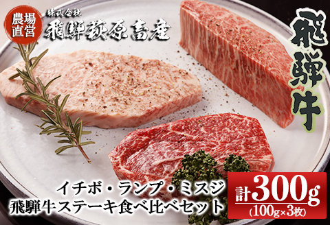 【冷凍】希少部位3種を食べ比べ！飛騨牛ステーキ食べ比べセット （イチボ 100g×1枚・ランプ 100g×１枚・ミスジ 100g×１枚）最高級 国産 牛肉 ブランド牛 和牛  【22-22】