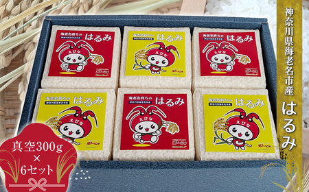神奈川県海老名市産はるみ　真空300ｇ×6セット【 お米 神奈川県 海老名市 】