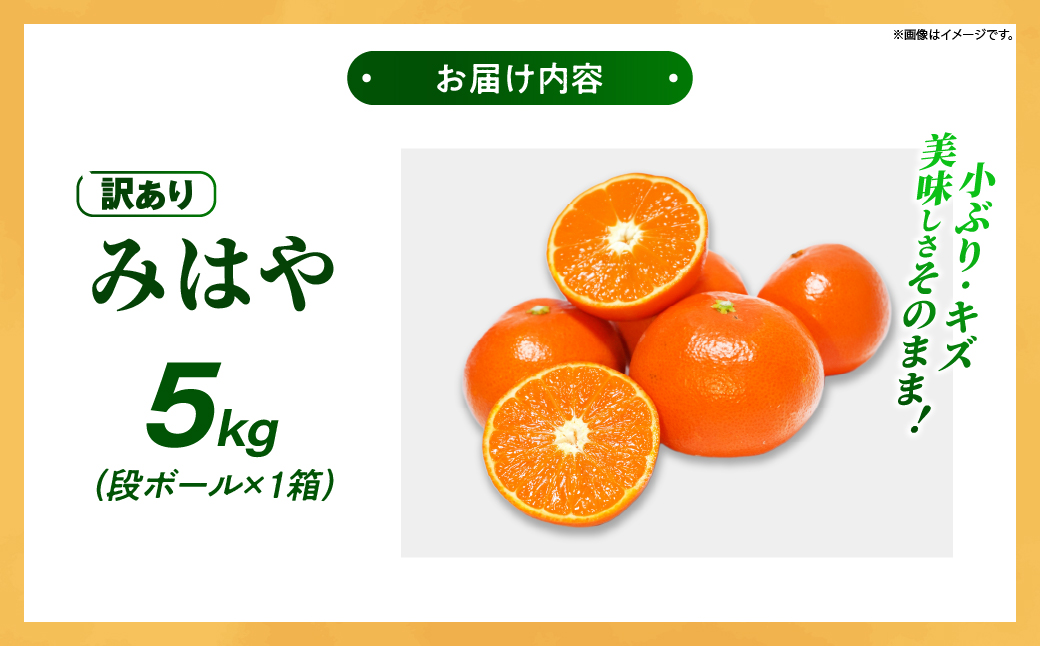 【先行受付】【訳あり】 みはや 5kg 果物 フルーツ くだもの 柑橘 みかん 蜜柑 新品種 おすすめ ワケアリ 不揃い 傷 Ｂ級品 プレゼント おすすめ おすそ分け 家庭用 おやつ スイーツ デザート 宮崎県 綾町 送料無料_A0114-2501