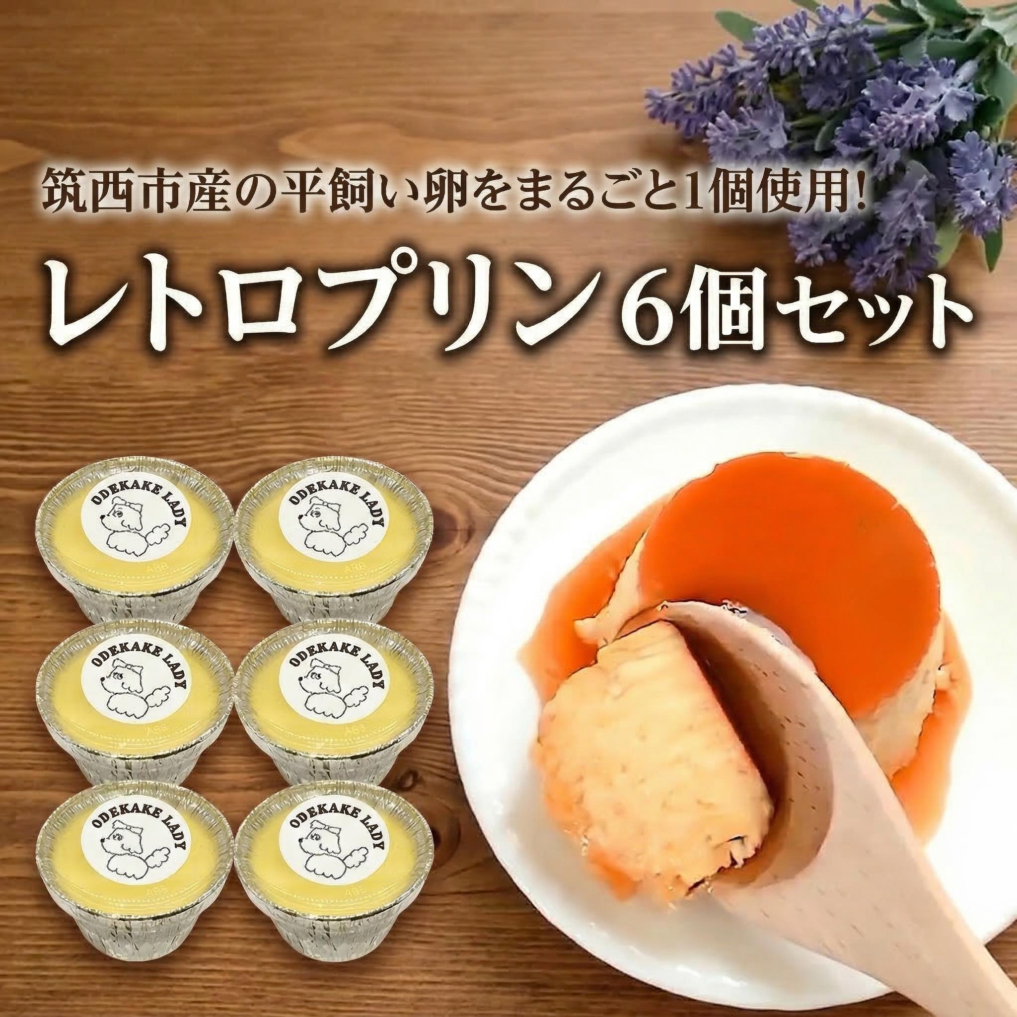【ふるさと納税】 レトロ プリン 6個 セット 固め 昔ながら 平飼い卵 贅沢 昔 ぷりん 洋菓子 お菓子 スイーツ デザート 懐かしい ODEKAKE LADY 茨城県 筑西市