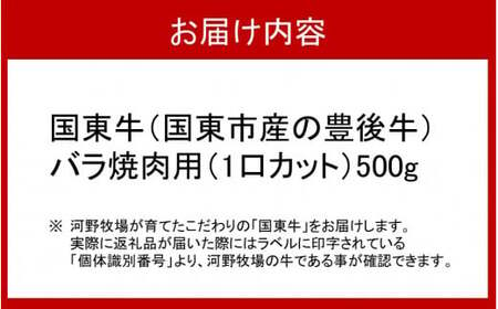 2211R_国東牛（国東市産の豊後牛）バラ焼肉用（1口カット）500g