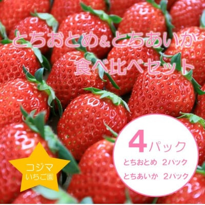 
小島さんちの完熟とちおとめ&とちあいか 食べ比べセット 4パック入り【1478946】
