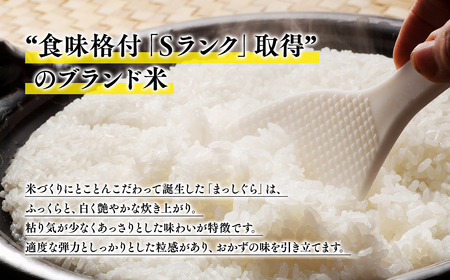 【MADE IN 柏木農業高校】11月中旬～発送 新米　令和6年産 まっしぐら 10kg