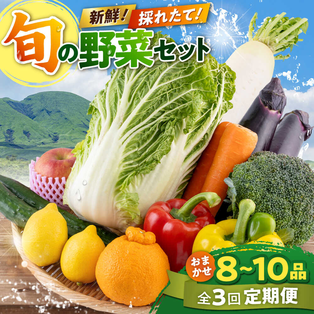 【ふるさと納税】【全3回定期便】旬な野菜おまかせ詰め合わせセット 野菜 野菜セット 詰め合わせ 直送 産地直送 国産 九州産 送料無料 旬 野菜 セット 冷蔵 クール便 熊本産 定期便【合志物産販売 志来菜彩】[AYCA003]