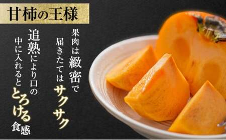 【富有柿の発祥の地　瑞穂市！！】富有柿 贈答用 2L×12個入り｜果物類 ※離島への配送不可 ※2025年11月下旬頃より順次発送予定送予定
