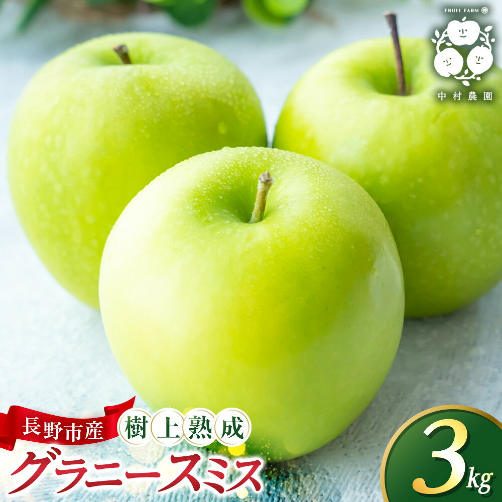 【ふるさと納税】フルーツファーム中村農園　【10月中旬発送 先行予約】樹上熟成　グラニースミス 3kg | りんご グリーンアップル 樹上熟成 林檎 アップルパイ ジャム 加工用 生食用 果物 フルーツ 旬 青りんご 料理用 製菓用 送料無料 長野県 長野市 信州 信濃