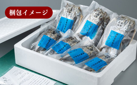 対馬 五月 真あじ 一汐干し 20枚 [WAI015] アジ 干物