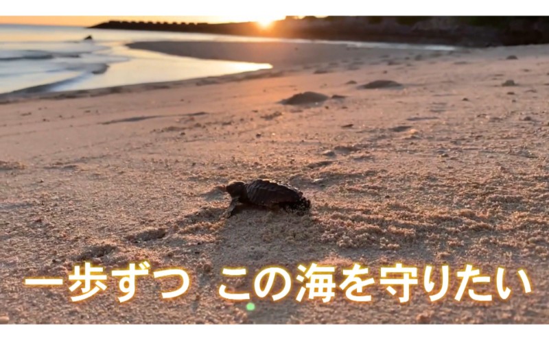 
                  【読谷村の美しい海への寄付】＜沖縄＞ウミガメ保護活動（応援寄付金）沿海環境保全・ウミガメの産卵地・沖縄の海を未来のこどもたちへ
                