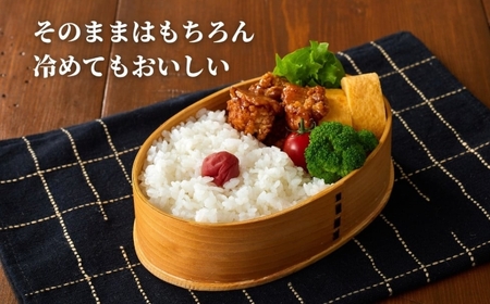 【令和7年産】新潟産コシヒカリ「おぢや米」 定期便 45kg（15kg×3回）