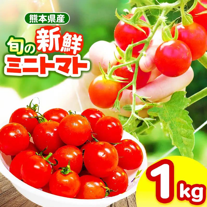 玉名市産 旬の新鮮ミニトマト 1000g | 野菜 ミニトマト とまと 熊本県 玉名市
