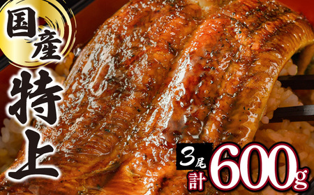 ≪2025年6月配送≫【数量限定】『国産』うなぎ蒲焼 3尾 計600g ※一部配送不可地域あり　D-625