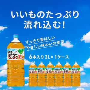 麦茶 GREEN DA・KA・RA やさしい麦茶 2L×6本 2箱 ペットボトル
