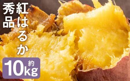 秀品 紅はるか 約10kg S～2L混合 株式会社Foody’s 《90日以内に発送予定（土日祝を除く）》熊本県 菊池市 さつまいも 芋 紅蜜芋 焼き芋 野菜 菊池市産 熊本県産 九州産