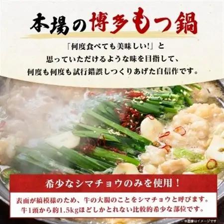 【毎月定期便】訳あり!博多味噌もつ鍋　10人前(2人前×5セット)全6回_肉 もつ鍋 牛肉 鍋 鍋セット  惣菜・加工品 肉 鍋 なべ ナベ  定期便 定期便  _【配送不可地域：離島】【405447