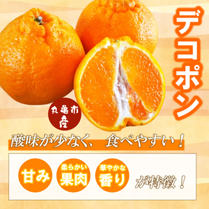 【2025年3月下旬より順次発送】【秀品】デコポン 約3kg デコポン デコポン デコポン デコポン
