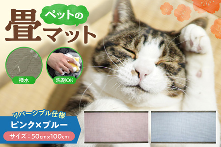 ペットの畳マット　100　ピンク×ブルー