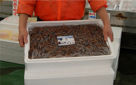 山米の自家製　ほたるいか沖漬け　4パック 　無添加　小分け