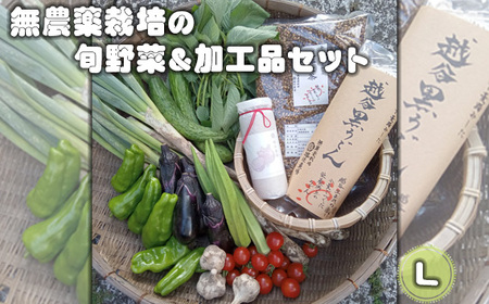 No.056 無農薬栽培の旬野菜＆加工品セット　L ／ 野菜 やさい 旬 新鮮 採れたて 産地直送 直送 お取り寄せ 安全 安心 地元 オーガニック野菜 季節野菜 旬野菜 詰合せ 循環農業 埼玉県