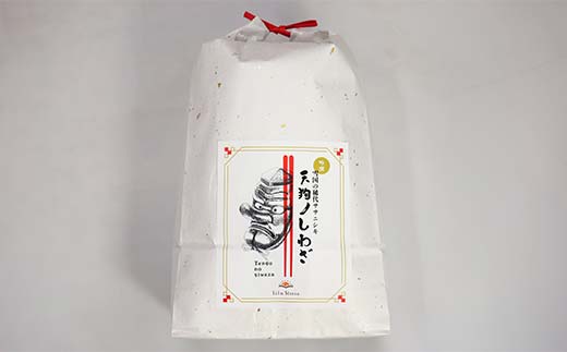 【令和8年産米先行予約】極みのササニシキ 精米 5kg×2袋 米 お米 おこめ 山形県 新庄市 F3S-2875