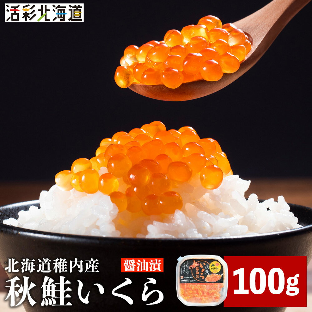 【ふるさと納税】【 北海道 稚内産 】 秋鮭 いくら 醤油漬 100g ( イクラ丼 海鮮丼 に!)いくら 醤油漬け 魚卵 加工品 北海道ふるさと納税 稚内 ふるさと納税 北海道 【配送不可地域：離島・沖縄県】