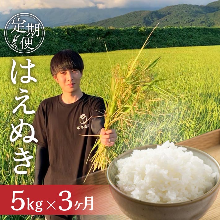 【ふるさと納税】≪3ヶ月定期便≫ はえぬき 5kg×3ヶ月連続 計15kg 精米 令和7年産米 山形県酒田産 ご希望期間の毎月下旬にお届け 東北 山形県 酒田市 庄内地方 庄内平野 米 お米 白米 ブランド米 ご飯 ごはん 農家直送 産地直送 本多農園